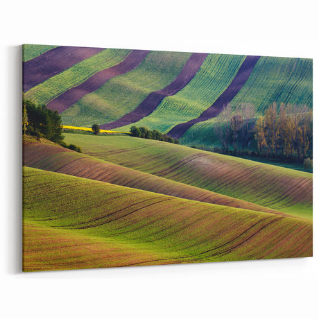Scenic Czech Landscapes – Czech Republic Wall Art of Rolling Hills