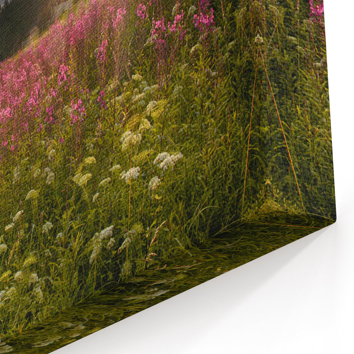 Scenic Czech Landscapes – Czech Republic Wall Art of Sunlit Flower Field