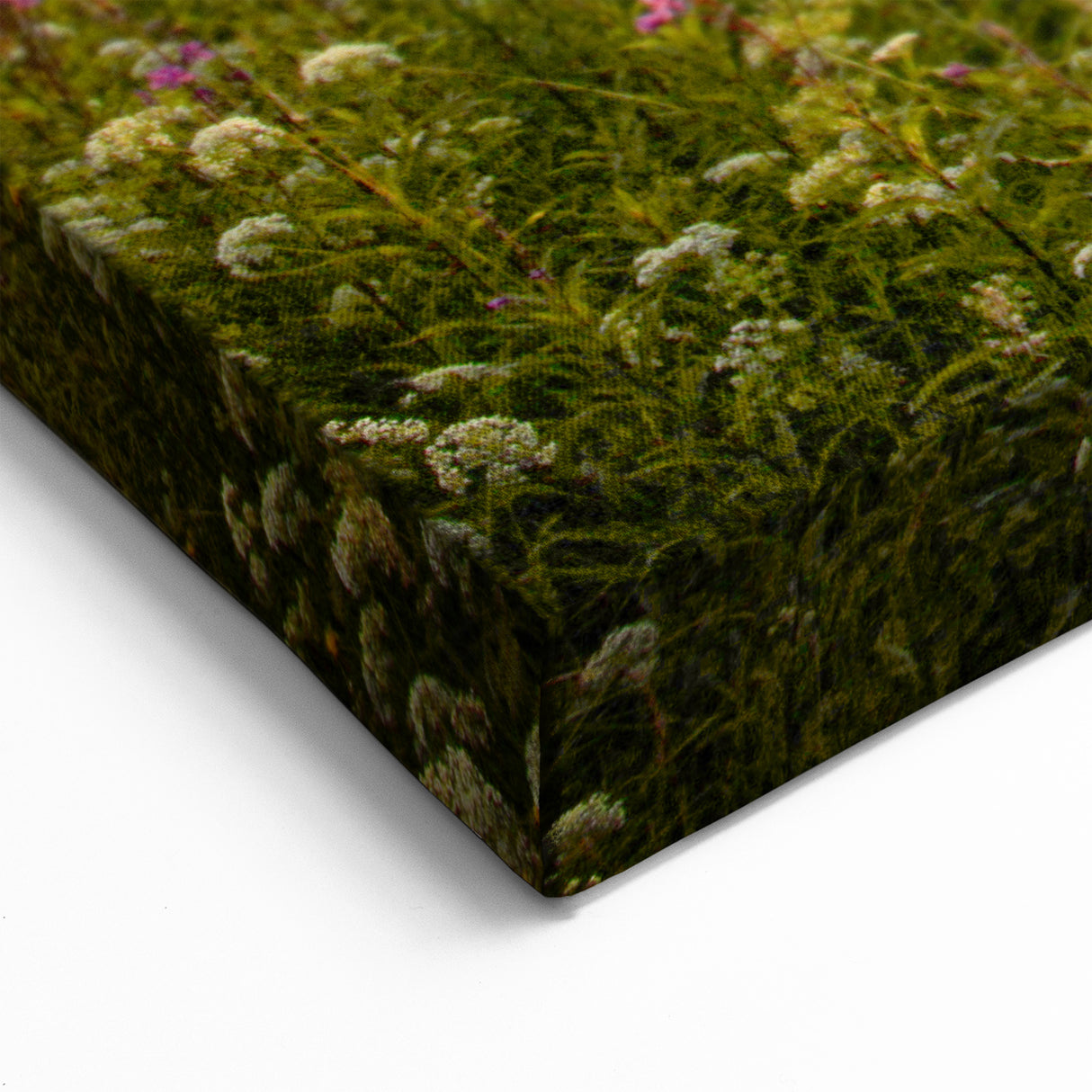 Scenic Czech Landscapes – Czech Republic Wall Art of Sunlit Flower Field
