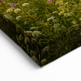 Scenic Czech Landscapes – Czech Republic Wall Art of Sunlit Flower Field
