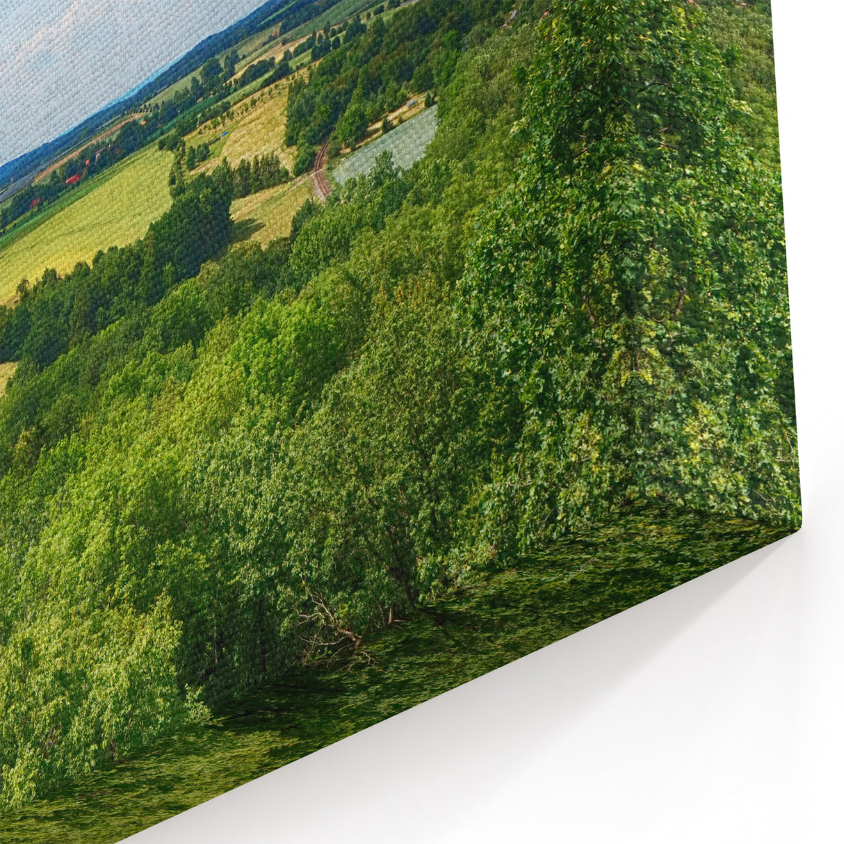 Czech Republic Wall Art - Verdant Countryside with Rolling Fields