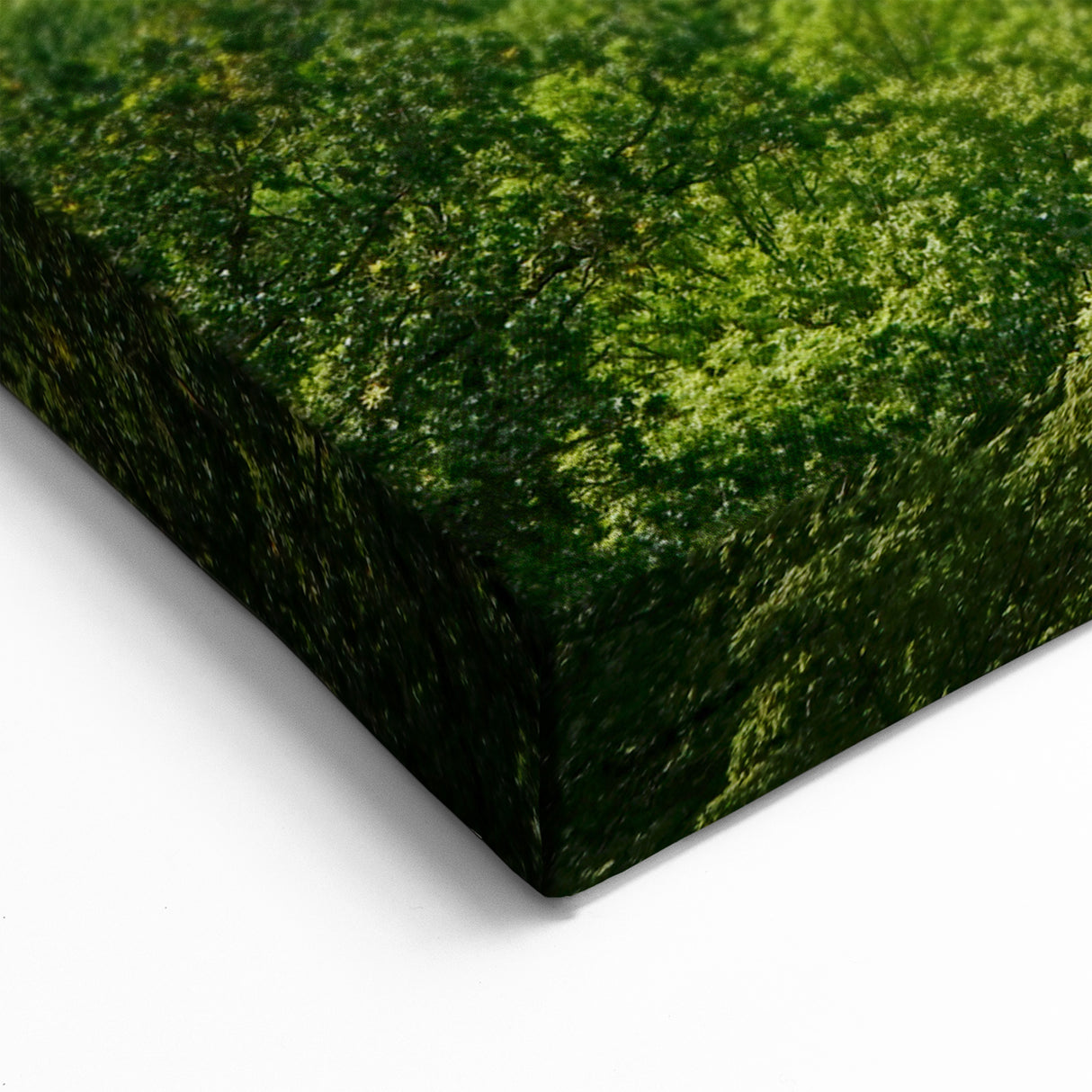 Czech Republic Wall Art - Verdant Countryside with Rolling Fields