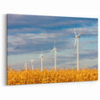 Czech Republic Photography - Wind Turbines in Golden Fields