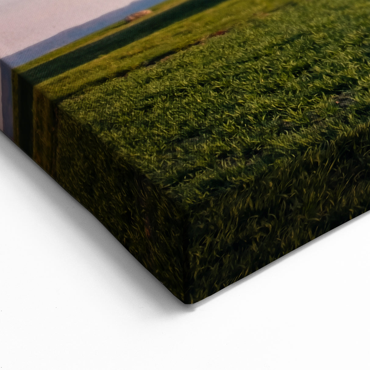 Czech Republic Wall Art - Historic Windmill at Sunset in Scenic Fields