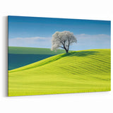 Scenic Czech Landscapes - Solitary Tree on Rolling Green Hills