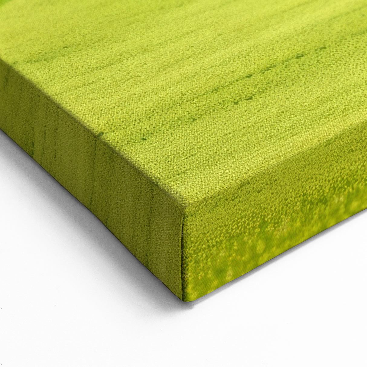 Scenic Czech Landscapes - Solitary Tree on Rolling Green Hills