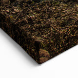 Central America Scenery - El Salvador Sunset Art