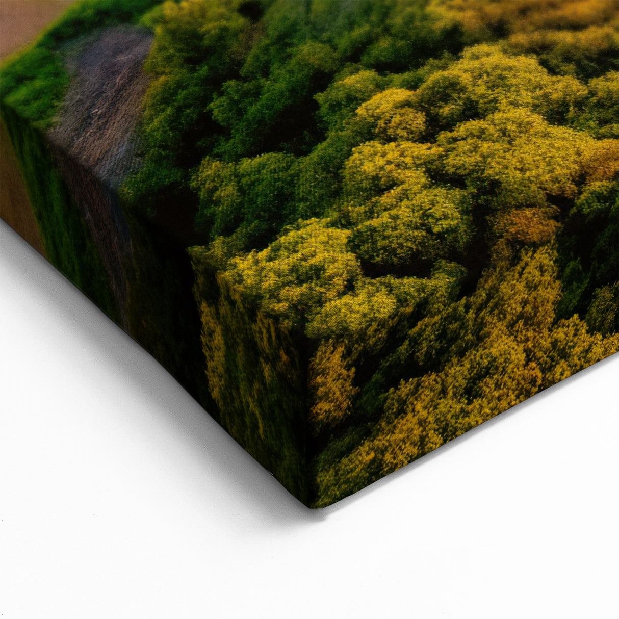 El Salvador Nature Photography - Coastal Sunrise Canvas