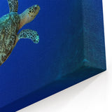 Saint Lucia Wall Art - Caribbean Island Sea Turtle Photography Decor