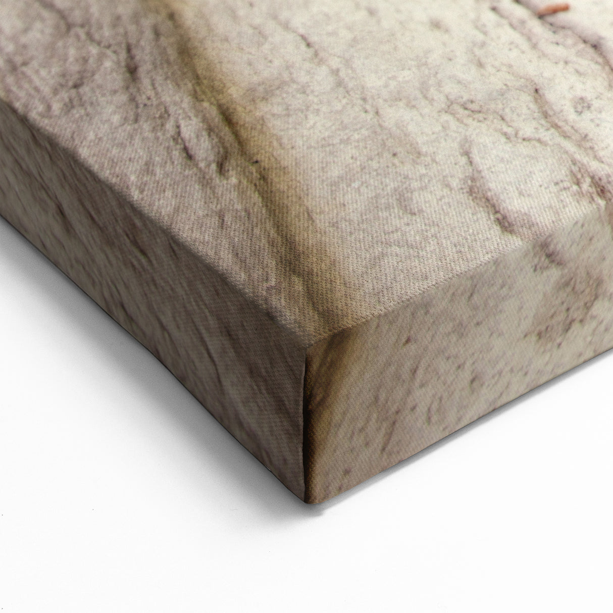 Saint Lucia Canvas Prints - Caribbean Island River Flow Photography