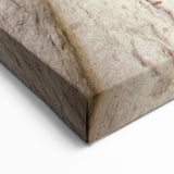 Saint Lucia Canvas Prints - Caribbean Island River Flow Photography