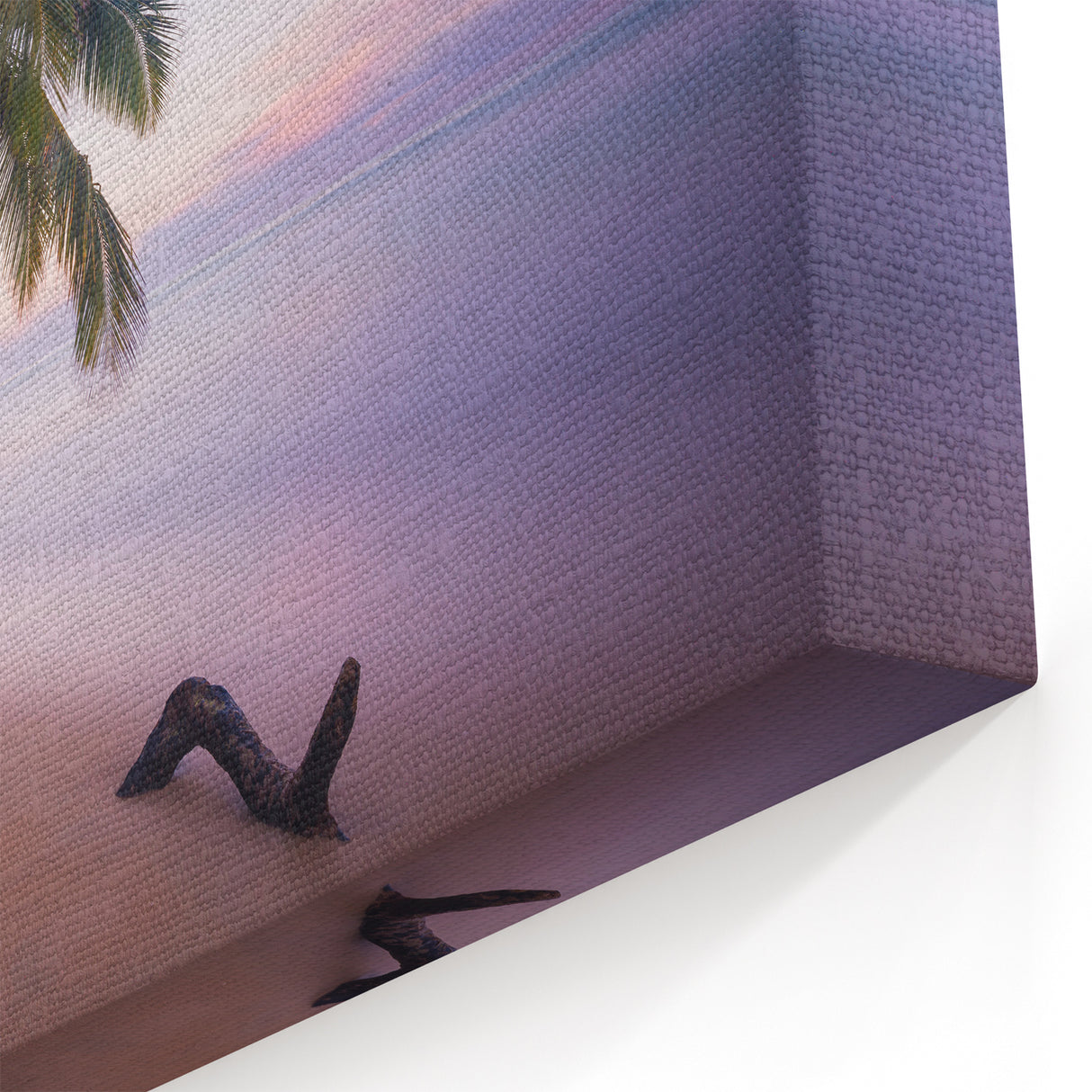 Caribbean Scenery Art - Saint Lucia Palm Trees at Sunset Photography