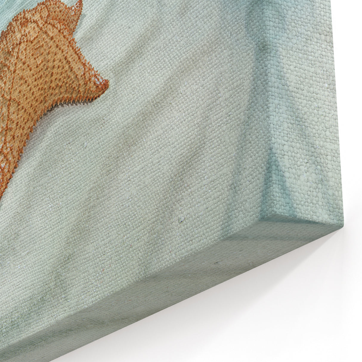 Virgin Islands Canvas Prints - Tropical Beach Art