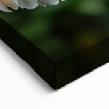 Guatemalan Parrot Art - Majestic Wings in Flight