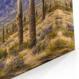 Argentine Desert Cactus Art - Vast Landscape Print