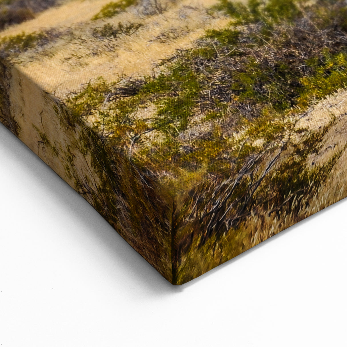 Argentine Desert Cactus Art - Vast Landscape Print