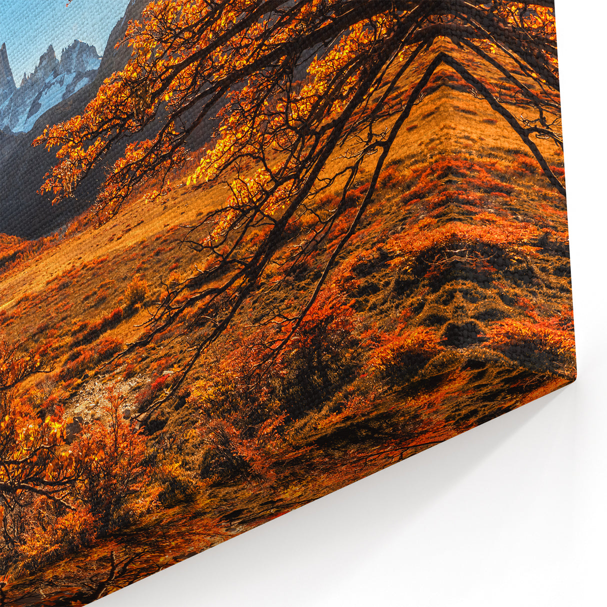 Patagonia Autumn Glory Art - Vibrant Mountain Sunrise