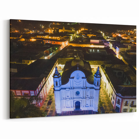 Vibrant Toucan Portrait - Exotic Wildlife Wall Art