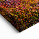 Patagonian Glacier Art - Pristine Ice Landscape