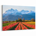 Argentine Nature Photography - Tulips and Snow-Capped Peaks