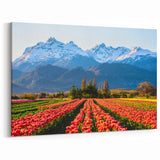 Argentine Nature Photography - Tulips and Snow-Capped Peaks