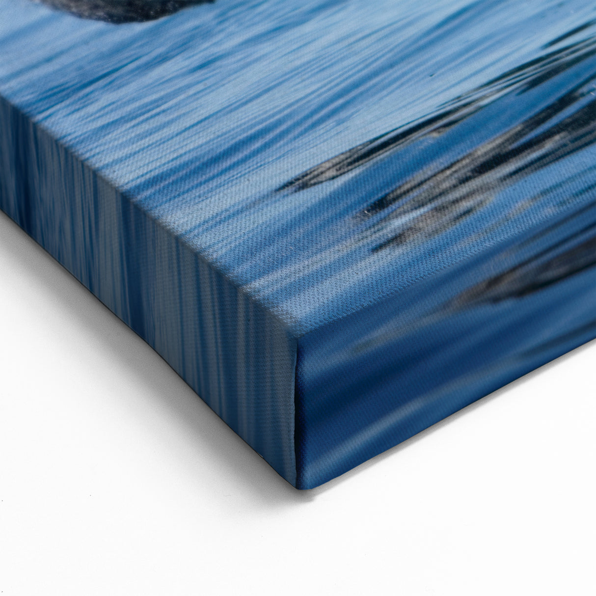 Argentine Nature Photography - Breaching Whale Spectacle