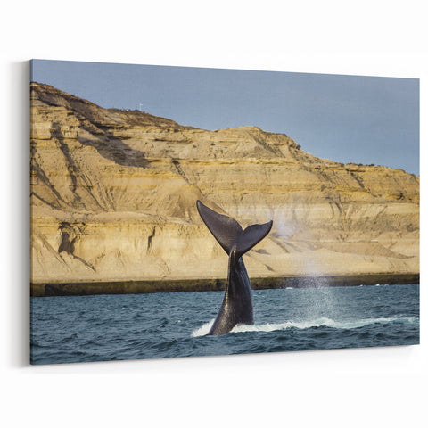 Argentine Coastal Art - Whale Tail and Cliffside View
