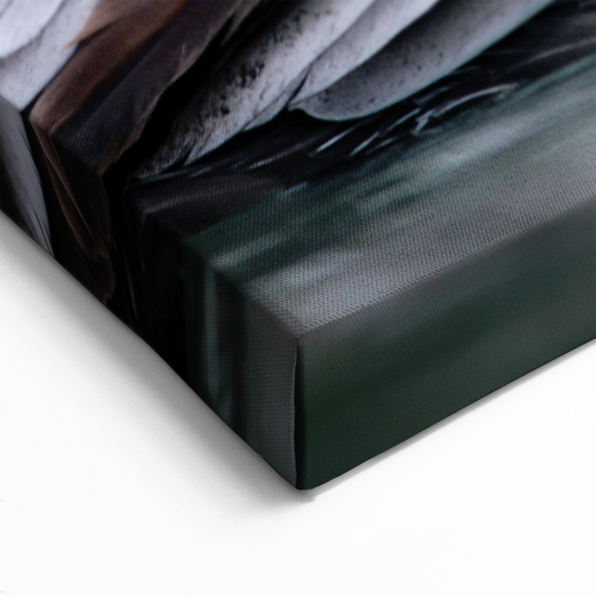 Caribbean Pelican Print - Virgin Islands Wildlife Art