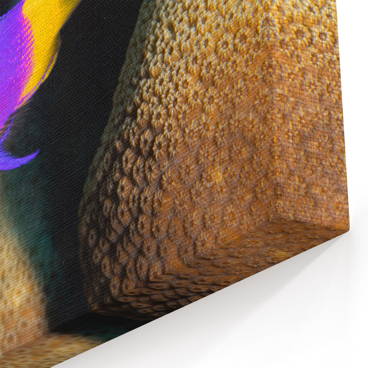 Virgin Islands Canvas Prints - Colorful Reef Fish Art