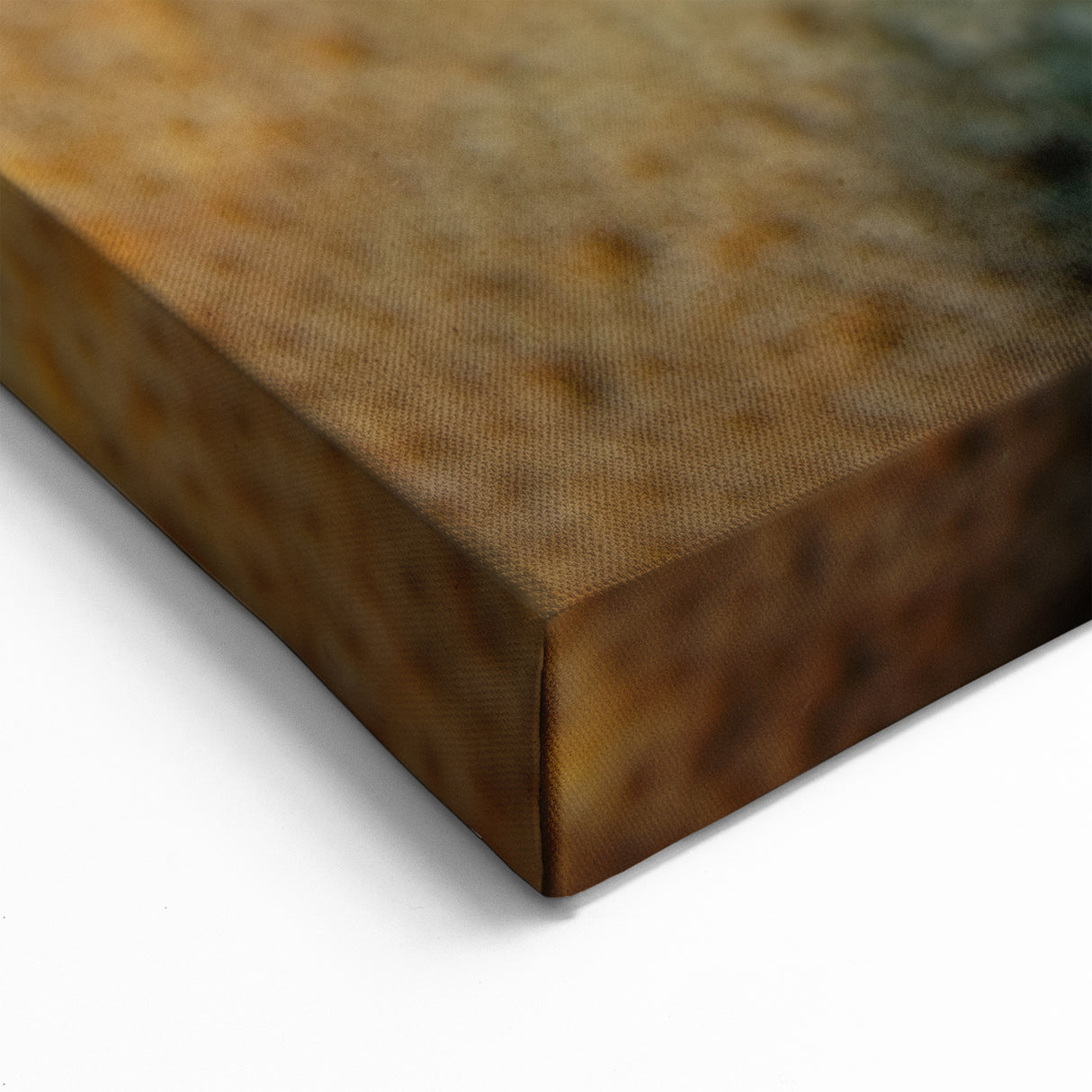 Virgin Islands Canvas Prints - Colorful Reef Fish Art