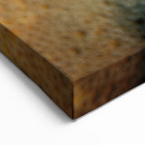 Virgin Islands Canvas Prints - Colorful Reef Fish Art