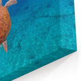 Caribbean Island Wall Decor - Majestic Sea Turtle Print