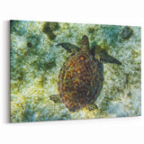 Saint Vincent Landscape Prints - Tropical Beach Art