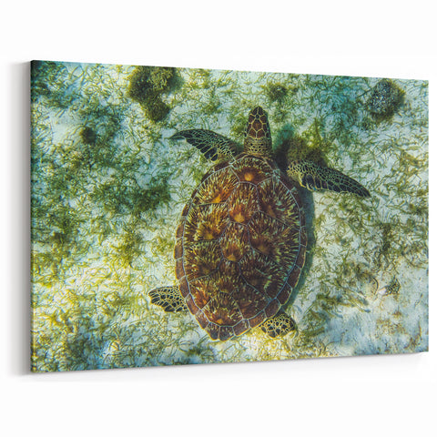 Saint Vincent Landscape Prints - Tropical Beach Art