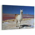Llama by Red Lake - Bolivian Landscape Art
