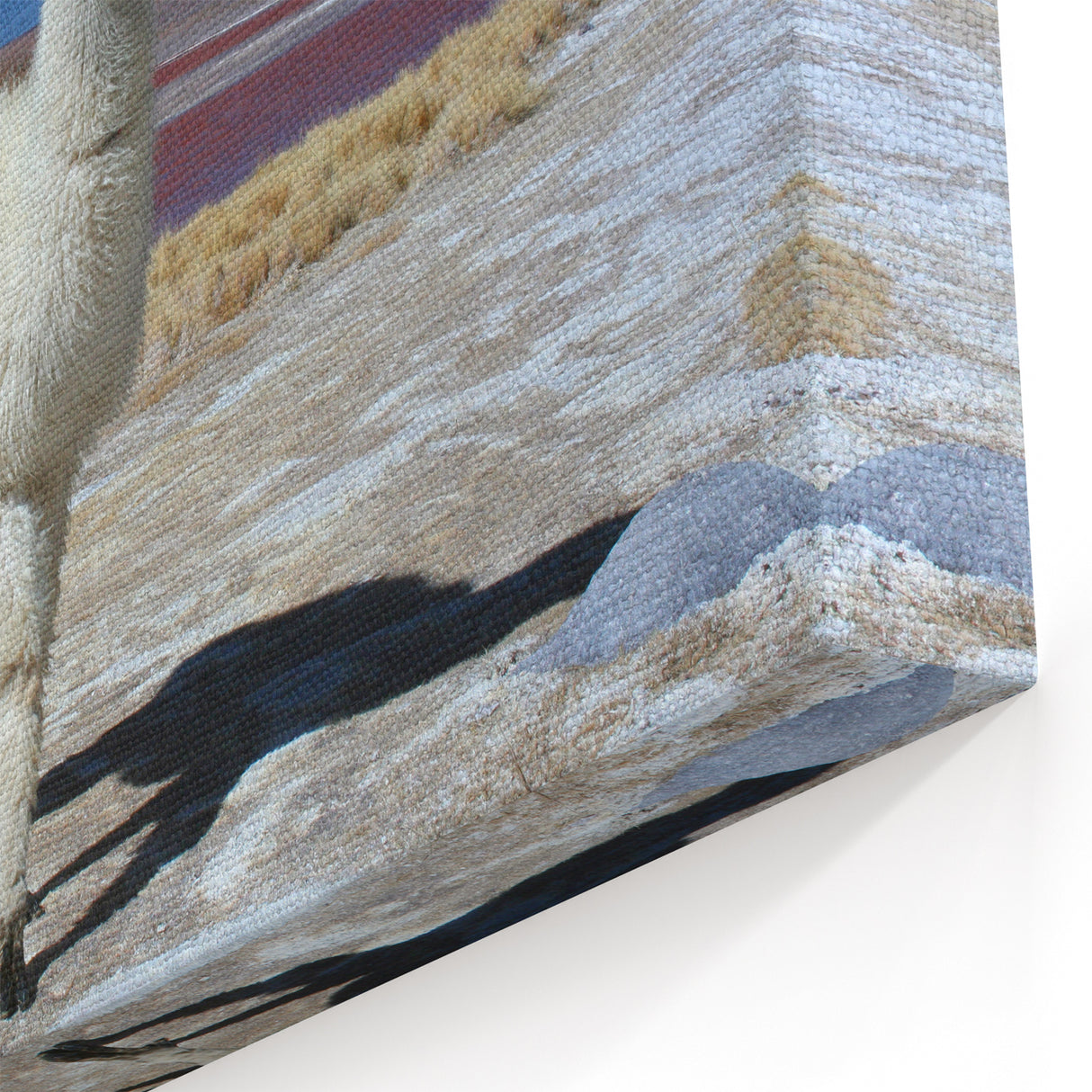 Llama by Red Lake - Bolivian Landscape Art