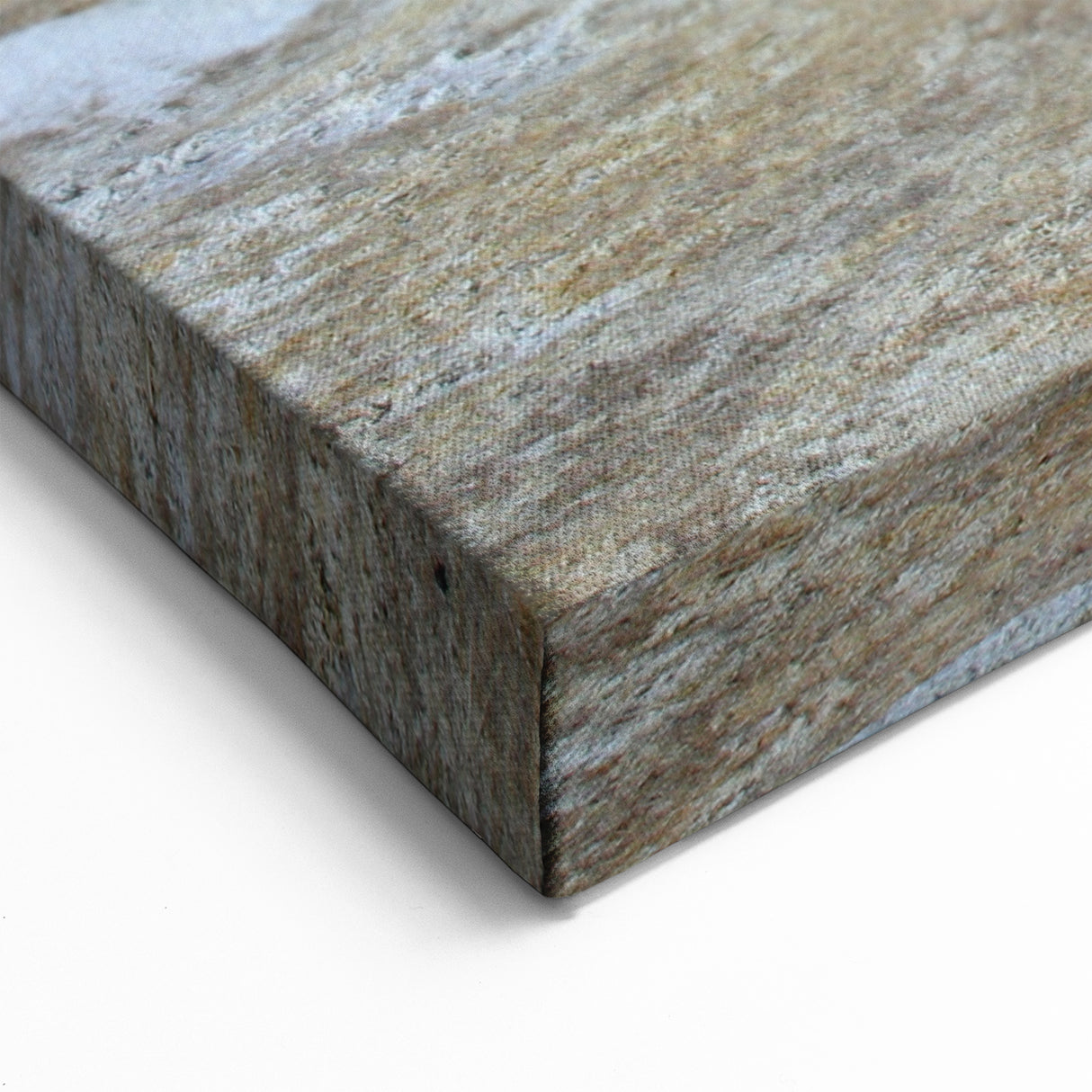 Llama by Red Lake - Bolivian Landscape Art