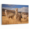 Llamas in Bolivian Field - Andean Wildlife Art