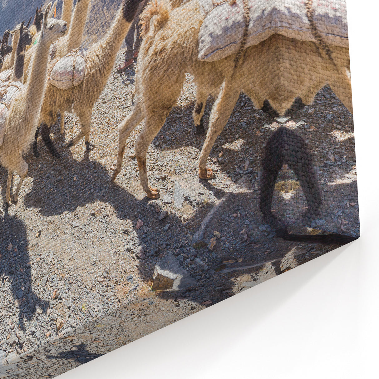 Andean Llama Caravan - Dynamic Bolivia Mountain Art