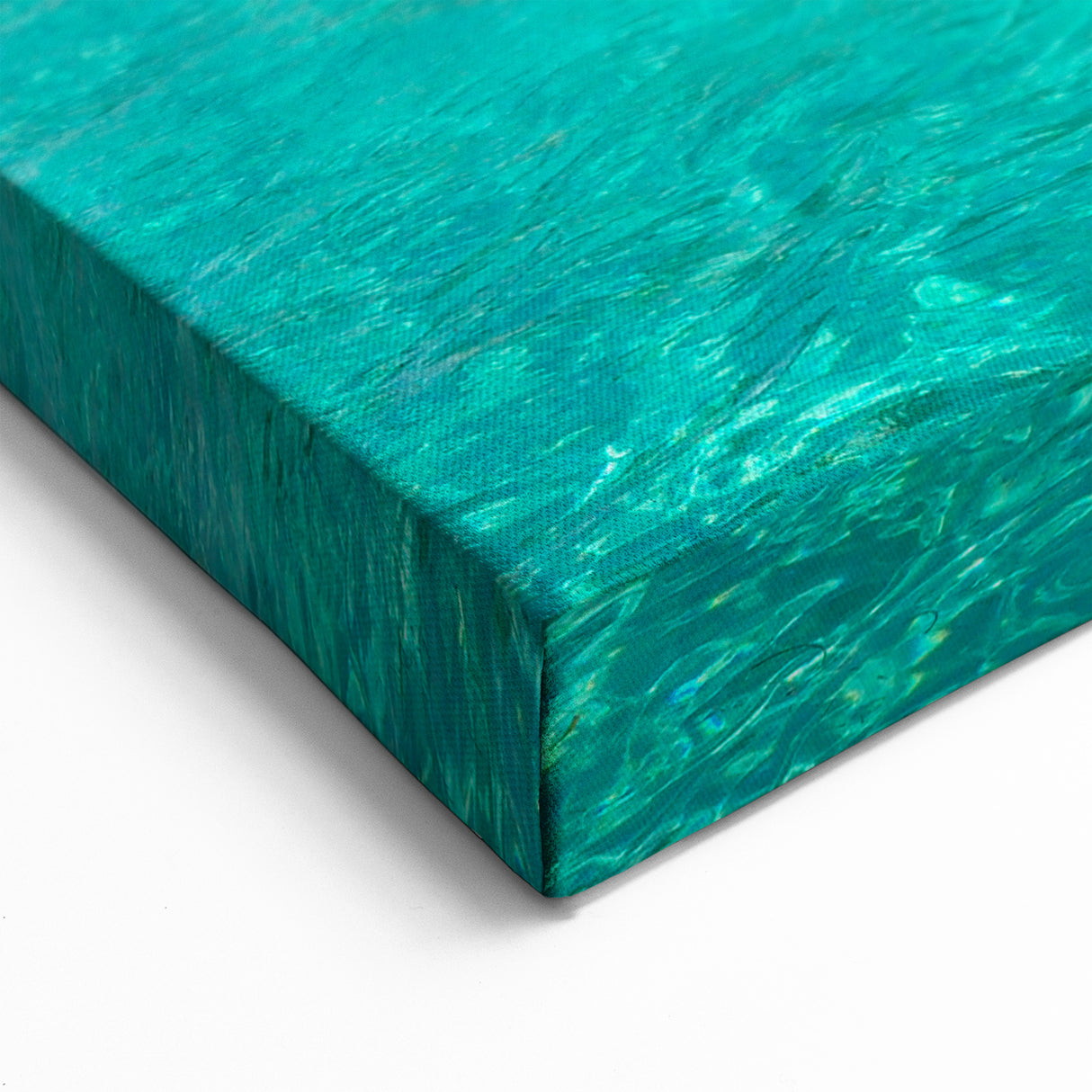 Panama Tropical Paradise - Panama Scenic Art