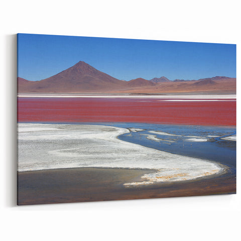 South America Scenery Art - Laguna Colorada Vista