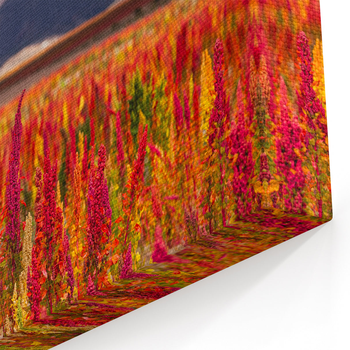 Multicolor Bolivian Landscape Art - Floral Mountain View