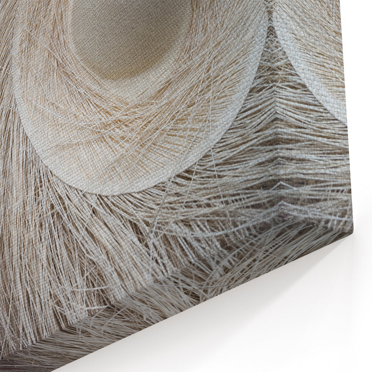 Panama Artisan Hats - Panama Nature Wall Art