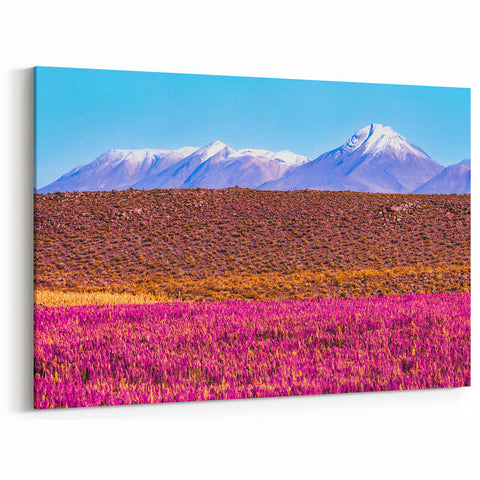 Vibrant Purple Fields Art - Bolivia Mountain View