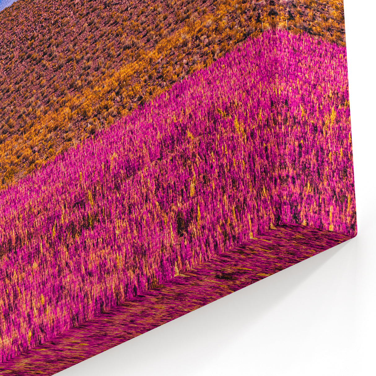 Vibrant Purple Fields Art - Bolivia Mountain View