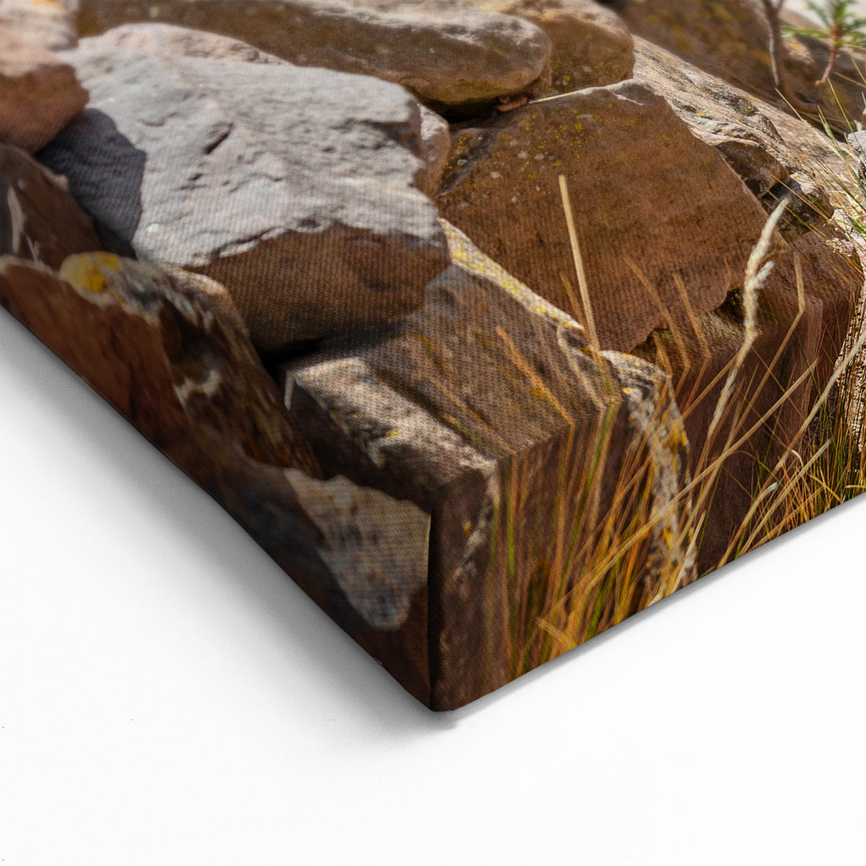 Bolivian Landscape Prints - Traditional Andean Women by Lake Titicaca