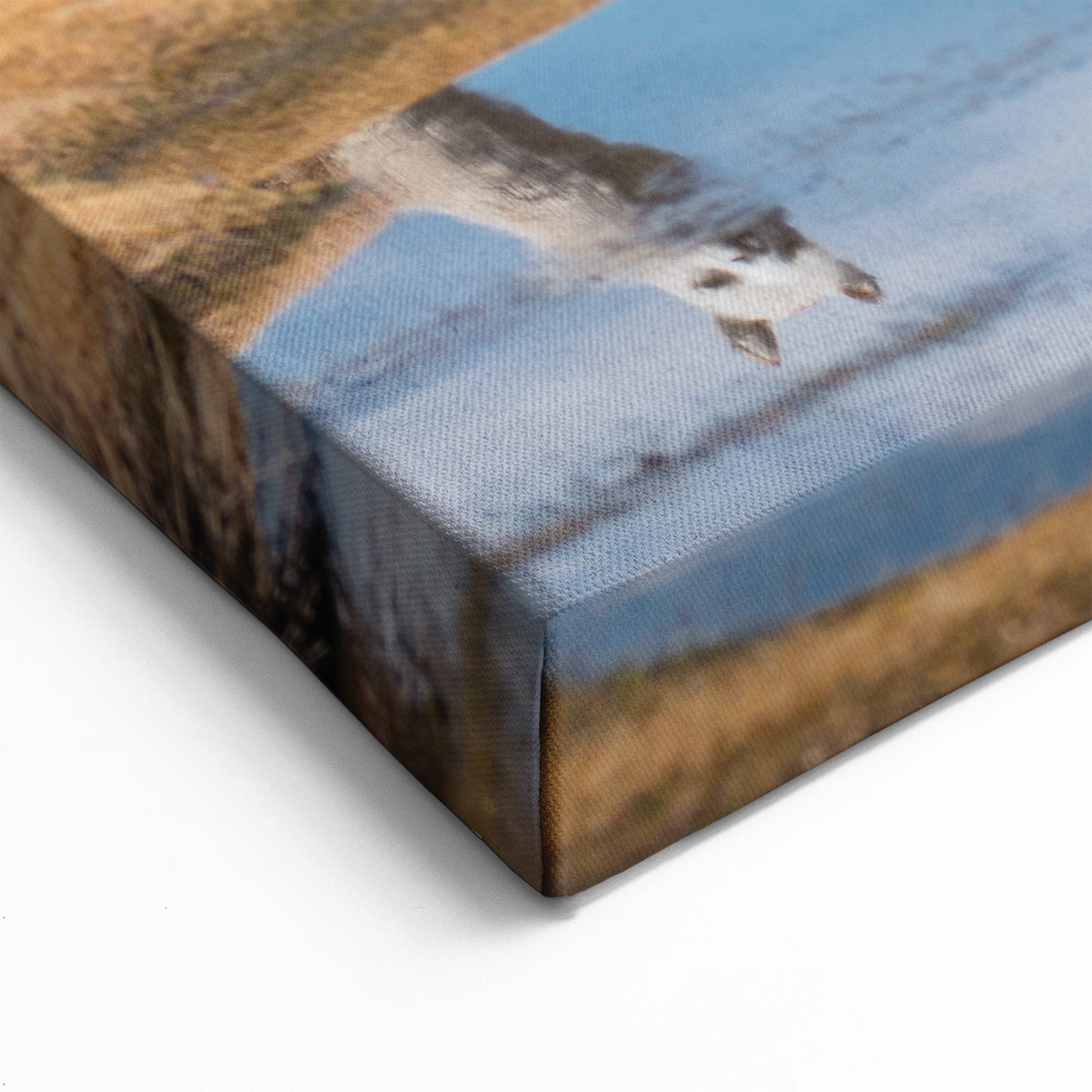 South America Scenery Art - Grazing Llamas in Bolivia’s Highlands