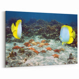 Providenciales Art Prints - Coral Reef Splendor