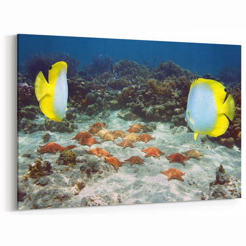 Providenciales Art Prints - Coral Reef Splendor