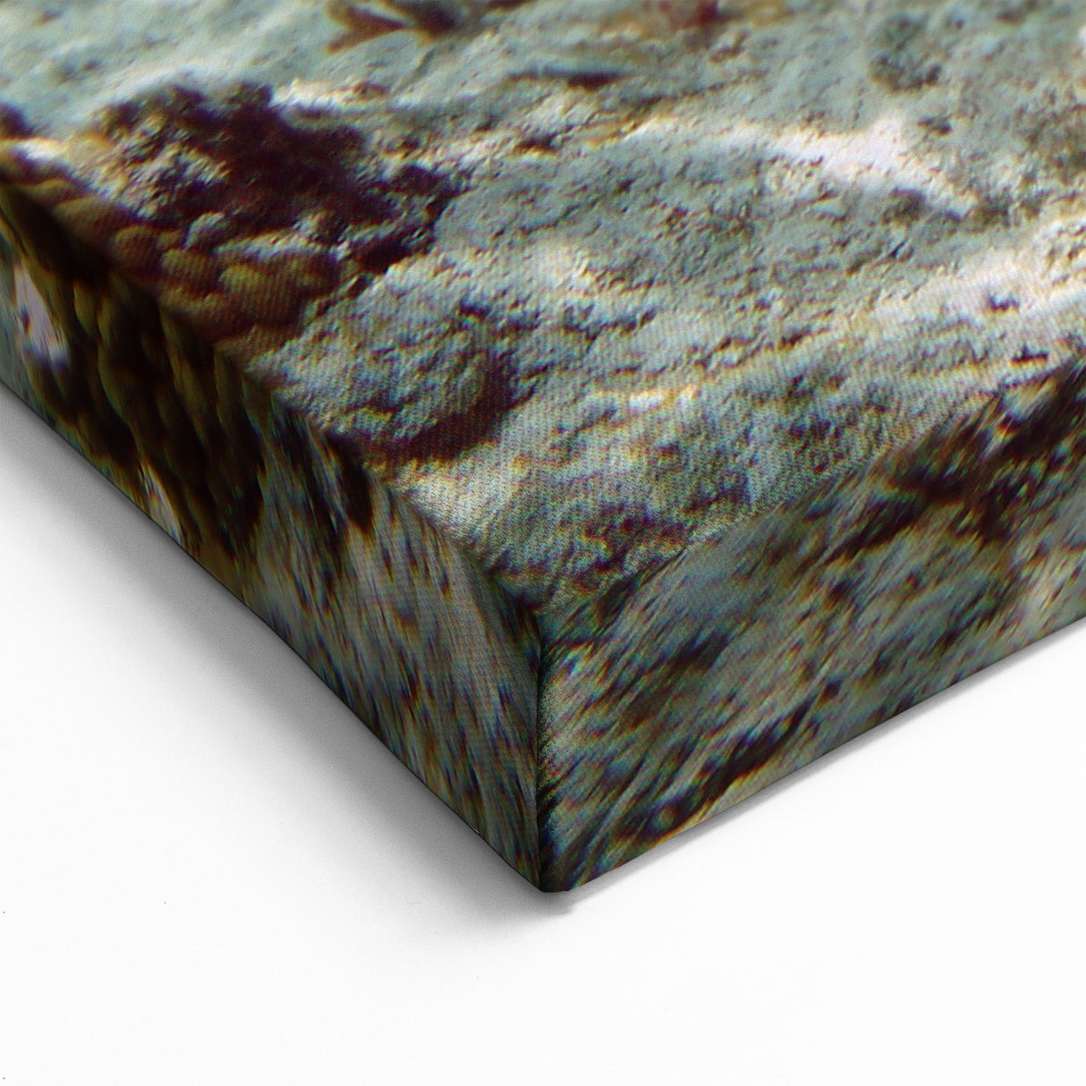 Providenciales Art Prints - Coral Reef Splendor